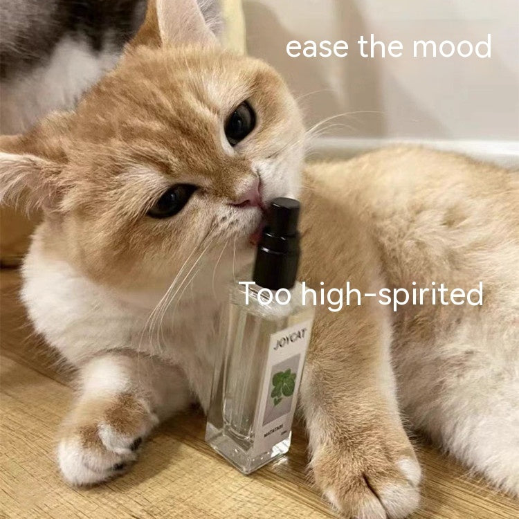 Household Personalized Cat Happy Water 2402110401180323400