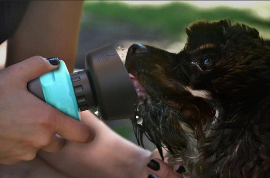 Pet Outdoor Foldable Bottle Dog Travel Water Bottle Dog Water Dispenser 2405985173597
