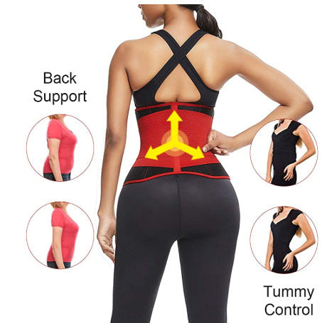 Sports waist belt 24062246090018