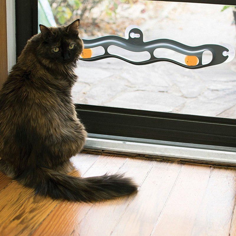 Interactive Track Ball Window Suction Cup Toy Catnip Balls Massage Plastic Sucker Funny Cat Game Intelligence Toy 24232468739