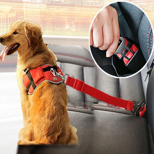 Pet Car Seat Belt Car Retractable Hand Holding Rope 2462f816 4931 4abc 9b07 4bb292c7b0a7