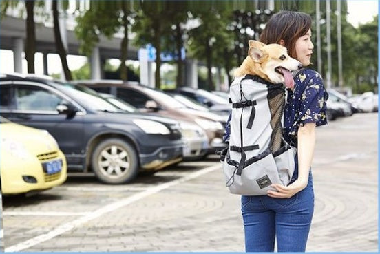 Ventilated And Breathable Pet Backpack 24697216895