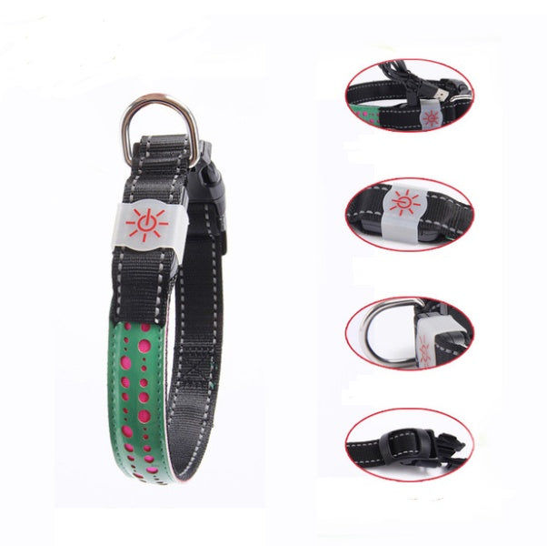 LED light collar pet collar 25091894095605