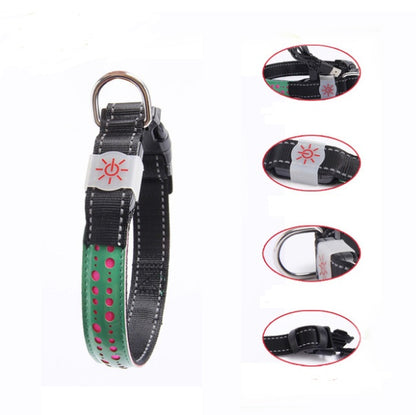 LED light collar pet collar 25091894095605