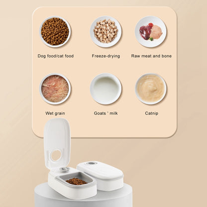 Automatic Pet Feeder Smart Food Dispenser For Cats Dogs Timer Stainless Steel Bowl Auto Dog Cat Pet Feeding Pets Supplies 251
