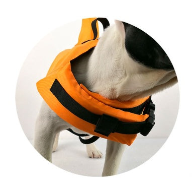 Large and small dog tide brand pet swimsuit 2612079922232