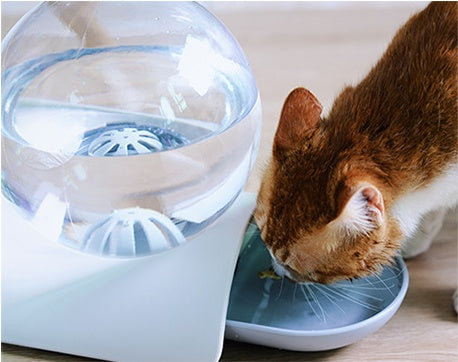 Pet automatic drinking fountain 26569979747561