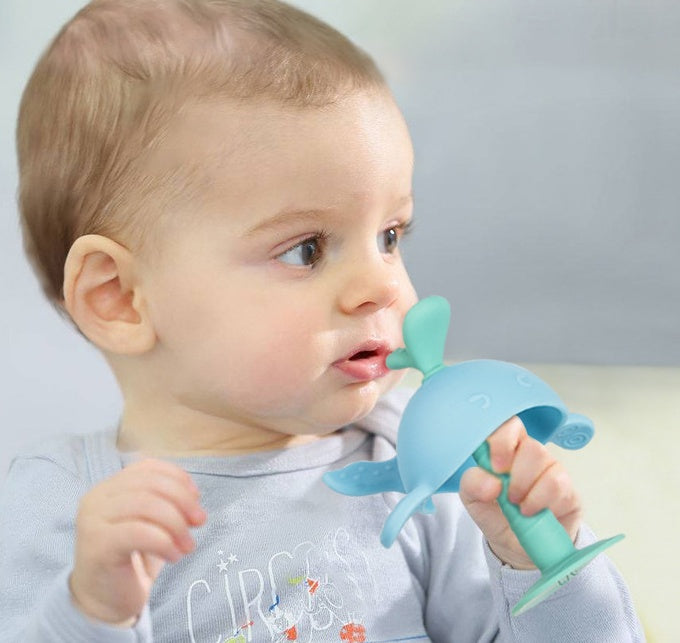 Baby teething toy 2664716871557