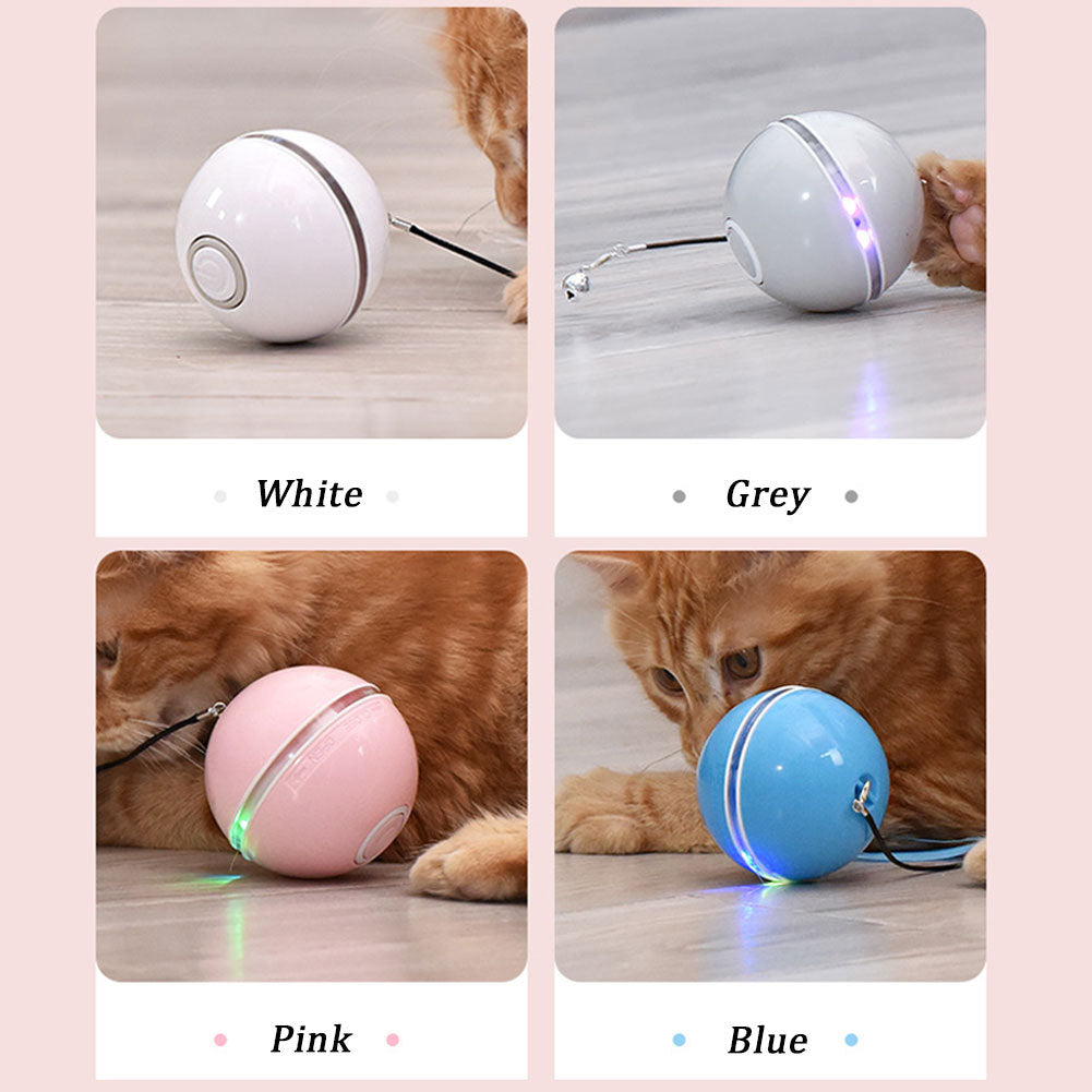 Colorful LED Laser Funny Cat Ball 2666290621931
