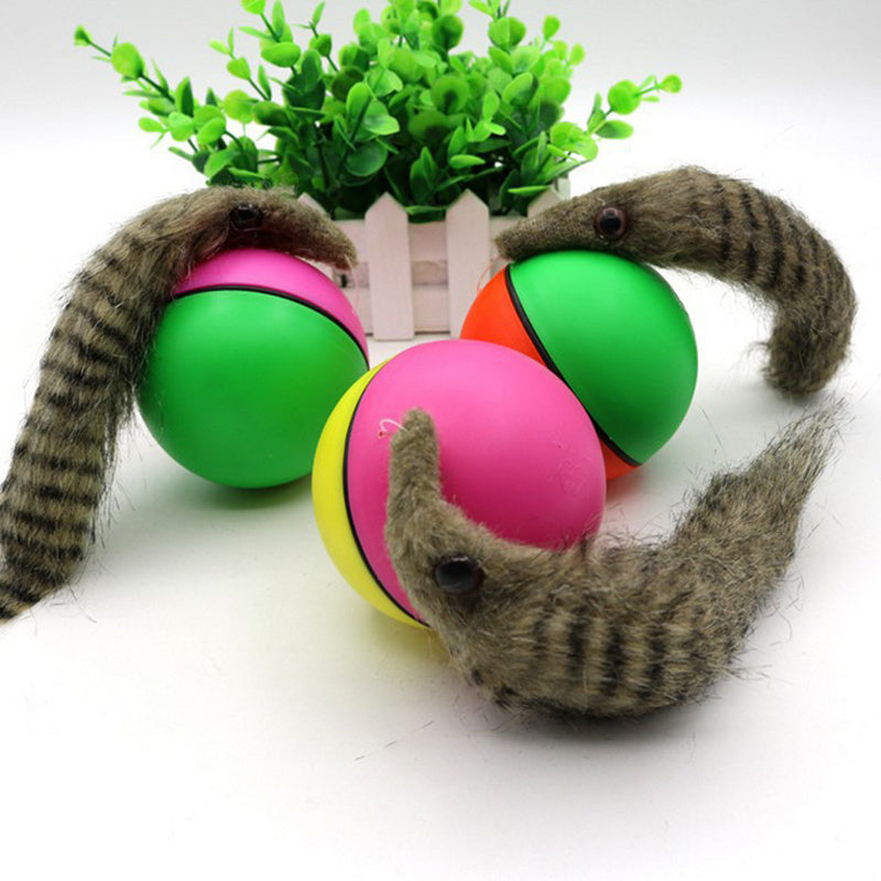 Electric Beaver Ball Water Cat Bath Play Water Toys 269489853018