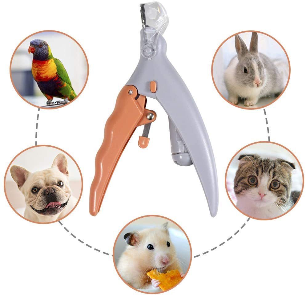 Pet LED With Light Nail Scissors Dogs And Cats Cleaning Scissors Beauty Luminous Nail Clippers 2694d3a1 37d9 49cf 9079 a144bd
