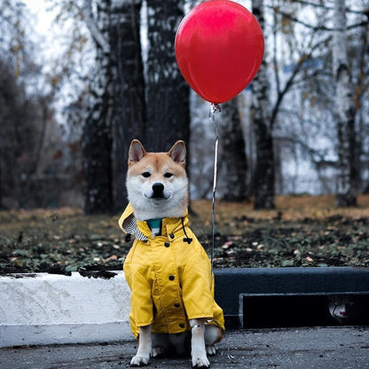 Dog Raincoat Pet Clothes Dog Clothes Rain Water 2703325781002