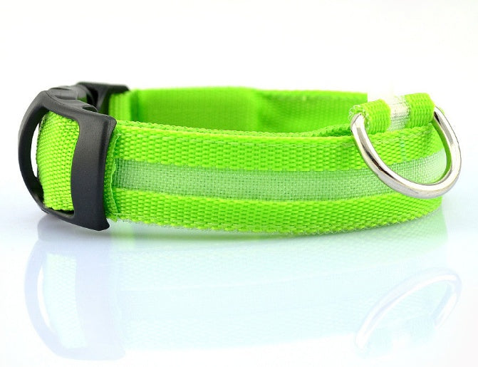 Safety Dog LED Collar 2741893544928