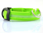 Safety Dog LED Collar 2741893544928