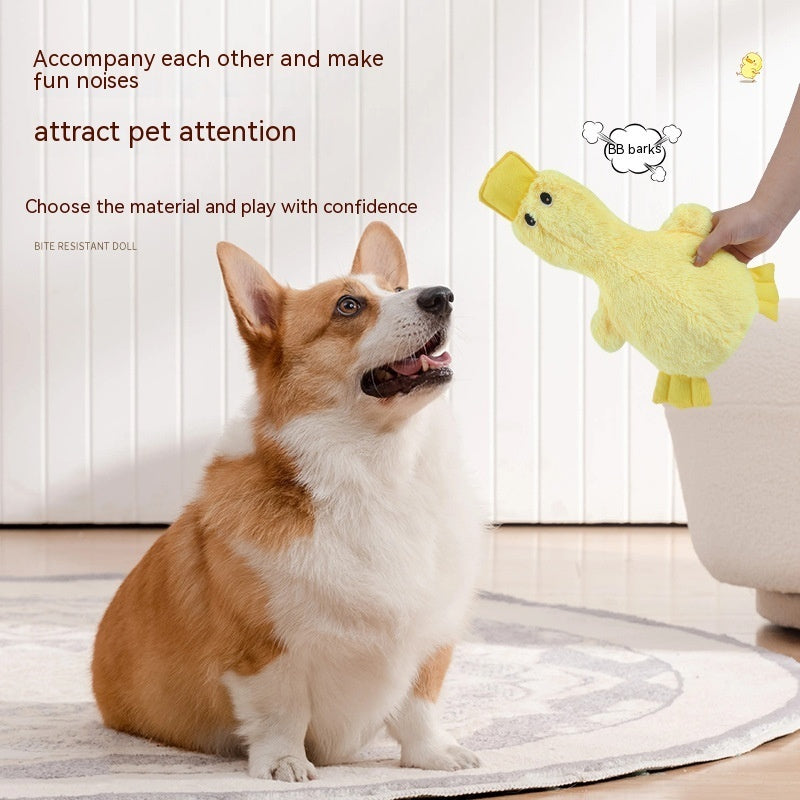 Pet Plush Large Molar Toy 27a28f25 9e04 4694 8772 0ba16f8a1cc6 trans