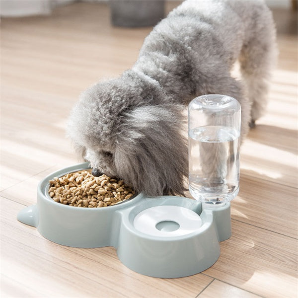 Dog bowl 2924591159966