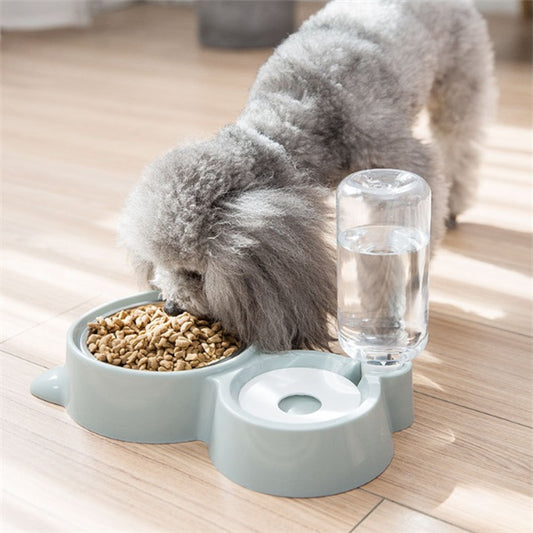 Dog bowl 2924591159966