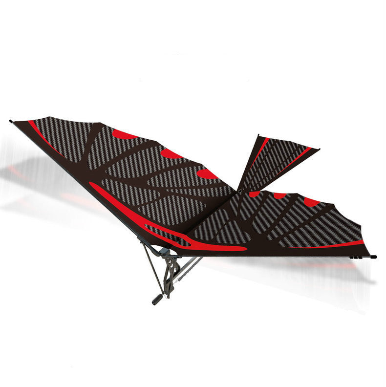 Double - wing rubber - powered aircraft 29323034831384