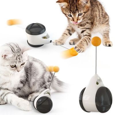 Balance swing car funny cat toy 2988706294691