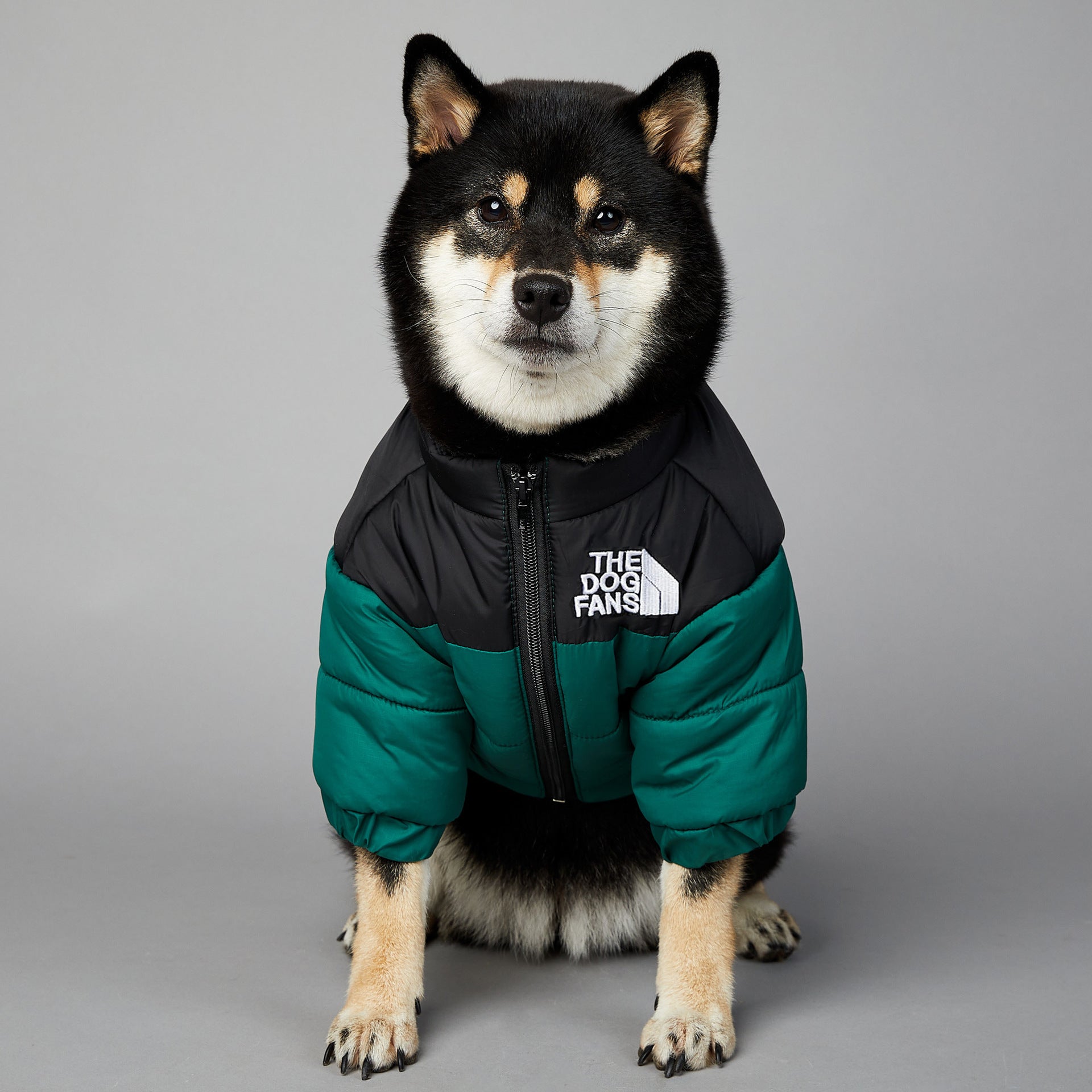 Windproof And Rainproof Dog Winter Warm Pet Cotton-padded Clothes 29a61769 a360 4572 8d30 14d1a0e64da0