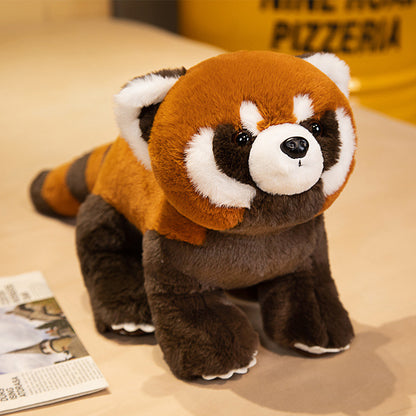 Coati Doll Plush Toys Cute 2a027e62 a40c 41d2 b0b1 a0c78ab46152 47e83060 7000 4d03 bd1a e22a7ab94f51