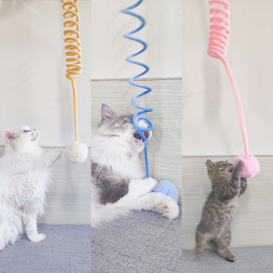 Cat Toy Self-Hi Sucker Spring Rabbit Hair Ball Interactive Play Pet Supplies Interactive Toys 2a889e05 6dae 4533 8234 5c1cb3f