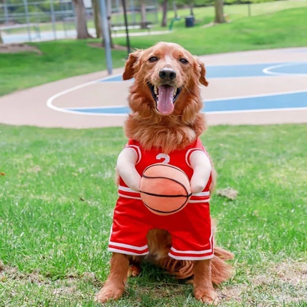 Creative Dog Basketball Costume With Ball 2a94e47b 4deb 4543 ae8a d1c8eba7a15d