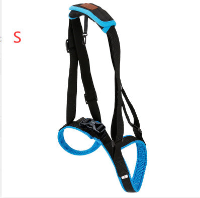 Pet Leg Strap Walking Support Dog Leg Support 2b11f0b1 b566 4d64 8d1c 37d03f491d7d