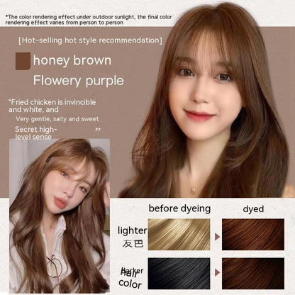 Ammonia-free Hair Color Paste Monochrome Paste Cover White Hair Multi-segment Color One-step Black Tea Gray Blue Black Hair D