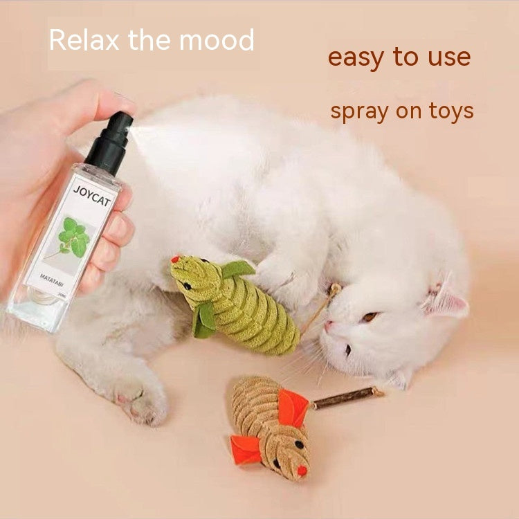 Household Personalized Cat Happy Water 2c91679e e85f 4bbb 8a3f 4c291fe67266