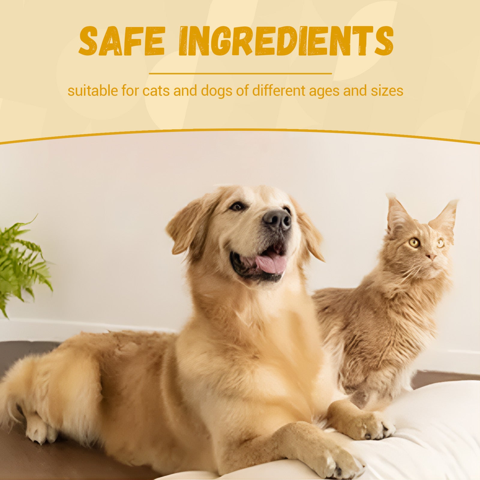 Pet Nutritional Supplements Enhance Energy Vitality 2caf9fcc 5ce8 4036 a6b8 e64d1cbb0eb7