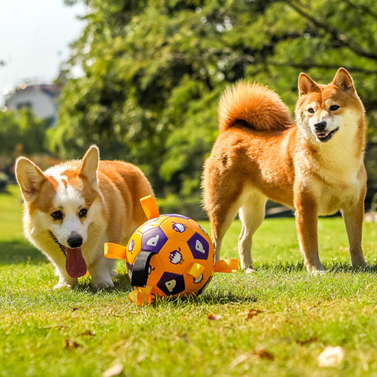 Pet Interactive Football Dog Outdoor Toy Molar Long Lasting 3023dcbb 4323 4efc 84f6 76ca15d234ea