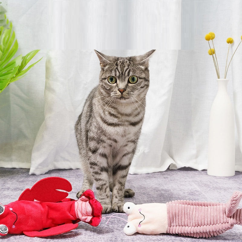 Intelligent Start Stop Electric Automatic Cat Toys 31ffd12d 42ca 44e5 9d0d 2086327bb082