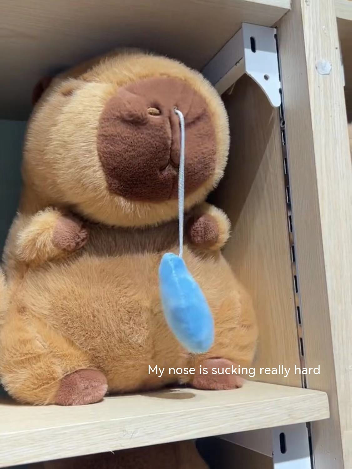 New Capibara Snot Withdraw Doll Doll Plush Toy Capybara Ugly And Cute Pillow Capybara Online Influencer Cute 321424d2 90d1 41