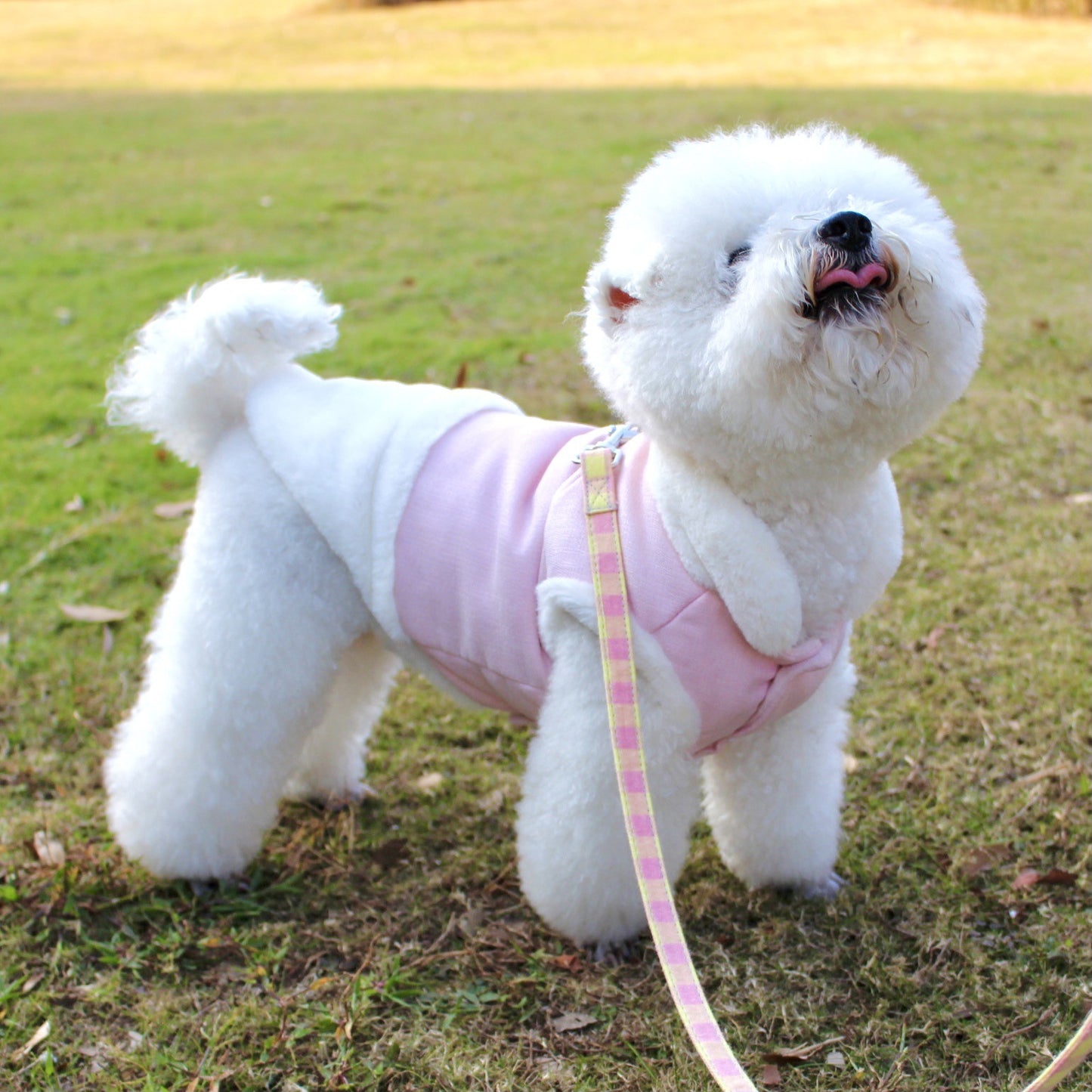 Pet Clothes Plush Warm Dog Vest Vest Style Dog Clothes Fur Collar Pet 331492179112