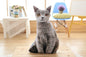 Simulation cat pillow cute cat doll plush toy stereo pet doll 33582240711786