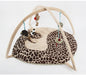 Cat playing bed 3399304861 1798973395