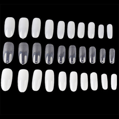 Transparent round nail 3439904963678