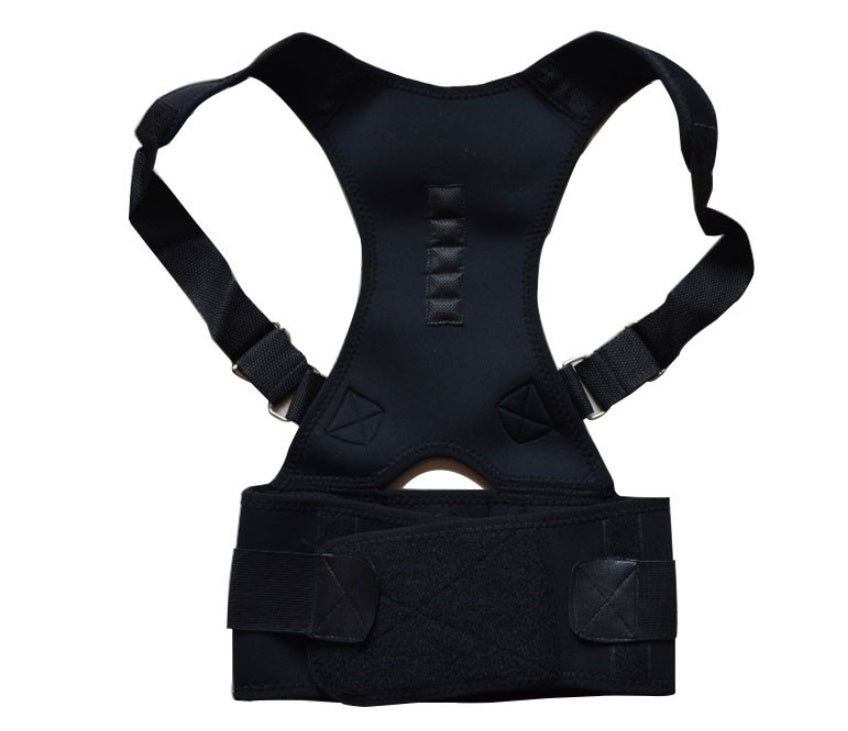 Belt 3459337244025