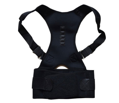 Belt 3459337244025