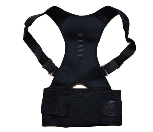 Belt 3459337244025