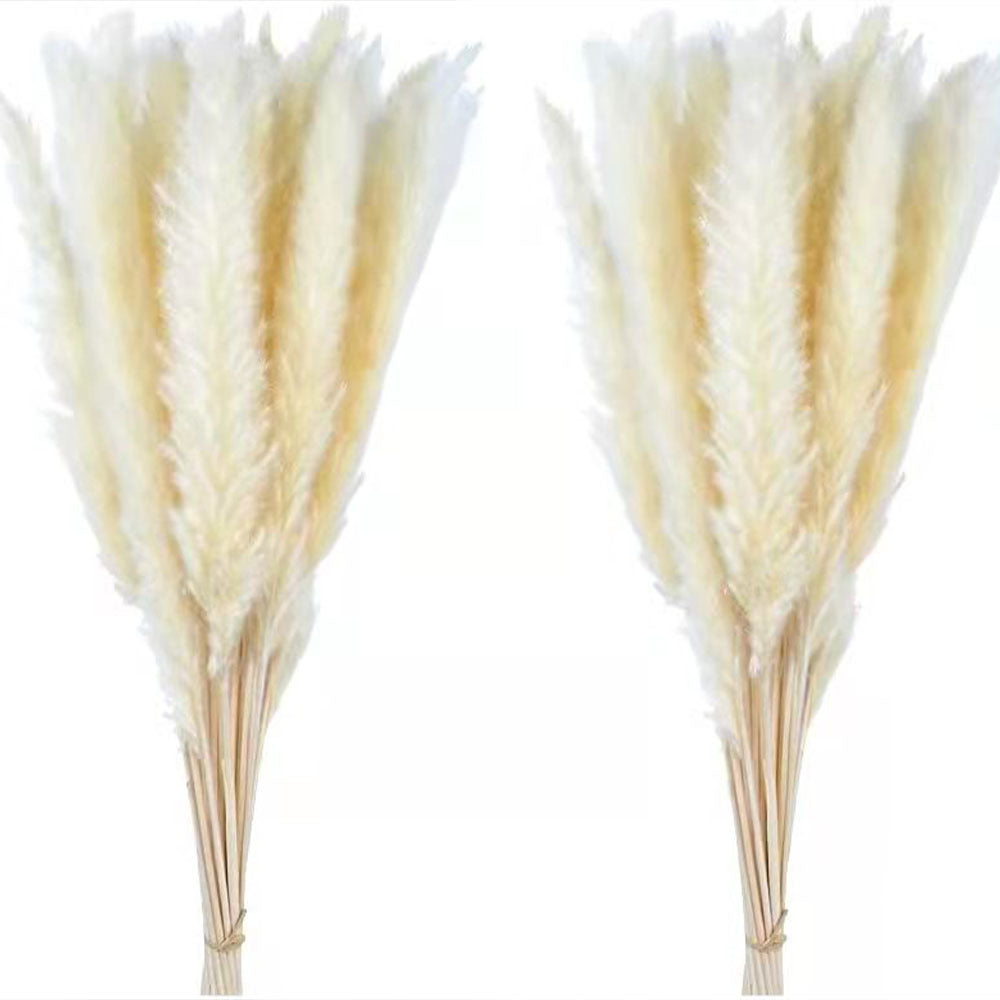 Dried Reed Flower Rabbit Tail Grass Flower Arrangement Ornaments 35a59e89 3b2e 4cde 982e 2ceb87de5a97