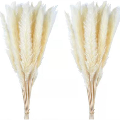 Dried Reed Flower Rabbit Tail Grass Flower Arrangement Ornaments 35a59e89 3b2e 4cde 982e 2ceb87de5a97