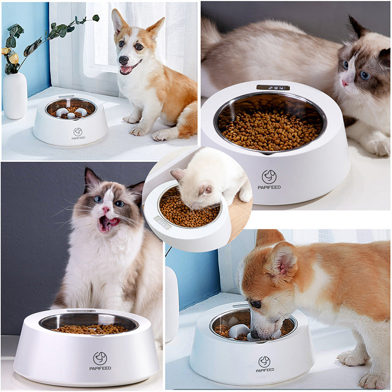 Pet Dog Bowl Slow Feeder Dog Food Bowl Smart Weighing Dog Slow Feeder Cat Pet Feeder 3638842859652