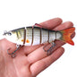 Bait fish 36979686942 b7294538 d9e5 4826 8c93 2ec0302d2179