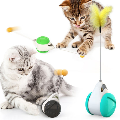 Balance swing car funny cat toy 386326490443