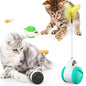 Balance swing car funny cat toy 386326490443