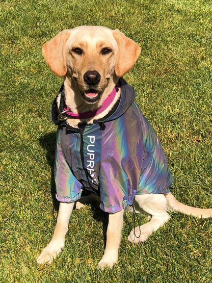 Microcrystalline reflective dog clothes 393917624348