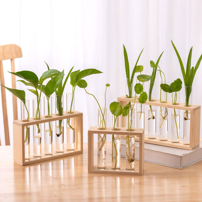 Creative Wooden Frame Hydroponic Plant Container Home Desktop Decorations 395be1ca 6b52 494b b0e8 442479402377