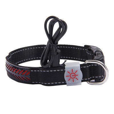 LED light collar pet collar 399976574924